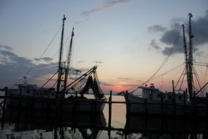 IMG_4059-727842